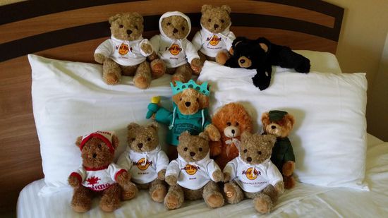 Unsere Reisebegleiter wurden neu sortiert und im Koffer verstaut