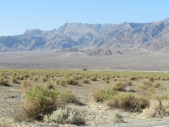 Des Teufels Kornfeld