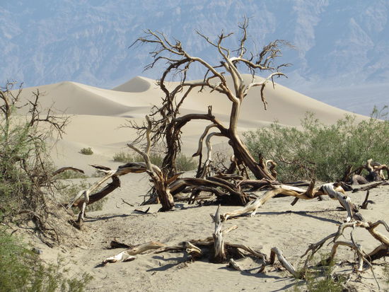 Die großen Sanddünen im Death Valley