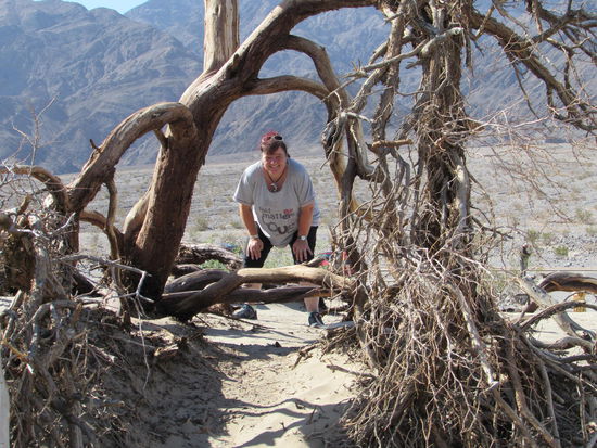 Kuckuck - such mich doch