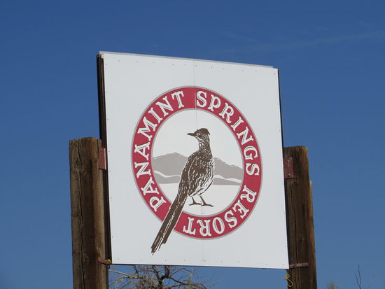 Ein Roadrunner begrüßte uns nach dem Nationalpark