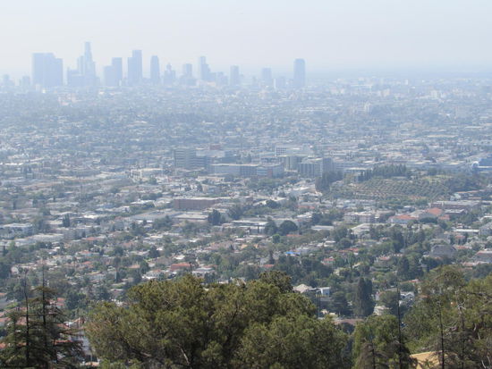 Der Blick auf die Skyline zeigt die Größe der Stadt
