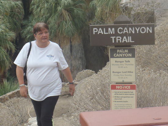 Wir haben den Aufstieg geschafft