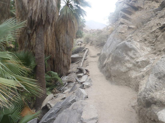 Zugang zum Andreas Canyon