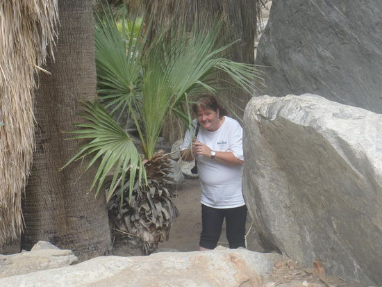 Eva im Paradies, nur mit Palme anstatt Apfel