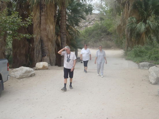 Für heute sind sie geschafft und geben Ruhe am Nachmittag