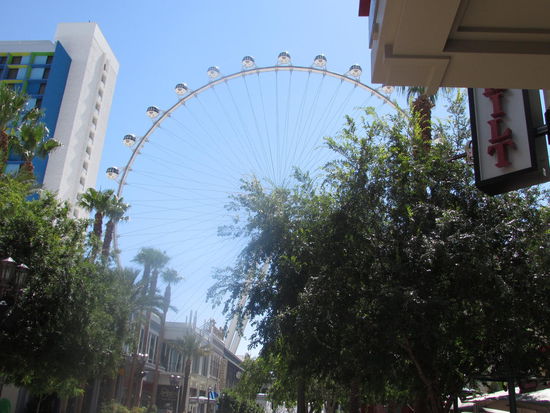 So nahe - aber zwei Stunden zu früh