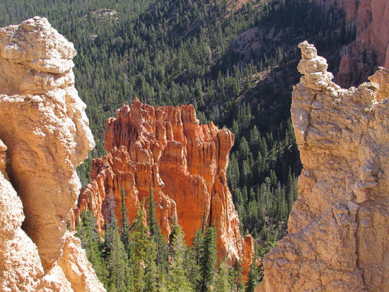 Durch Sonneneinstrahlung unterschiedliche Farben