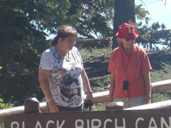 Na was gab es da wohl zu sehen