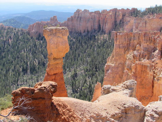 Einer der großen Bösewichter am Agua Canyon