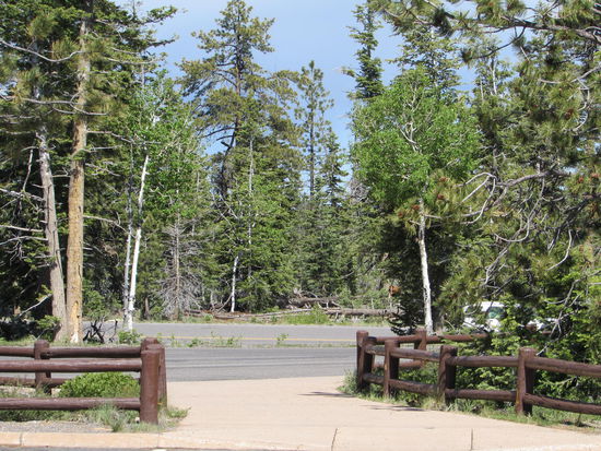 Aber auch solche Bilder können im Bryce gemacht werden