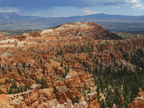 Zum Abschluß noch ein Blick in das Bryce Amphitheater
