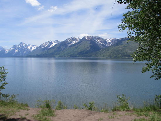 Die Teton Mountains mit dem Jackson Lake