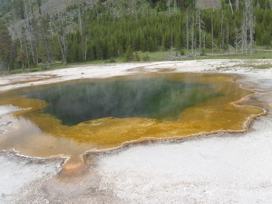 Schwefel und Algen erzeugen die bunten Ränder