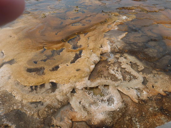 Schwefelablagerungen in der Heißwasserquelle
