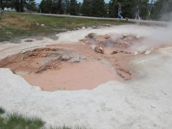 und der Nächste in rot