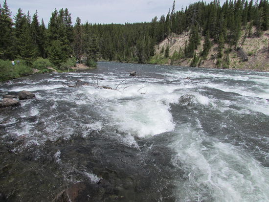 LeHardys Rapids - Stromschnellen des Yellowstone Rivers