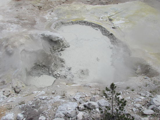 Der Schlamm Geysir bei den Sulphur Caldrons