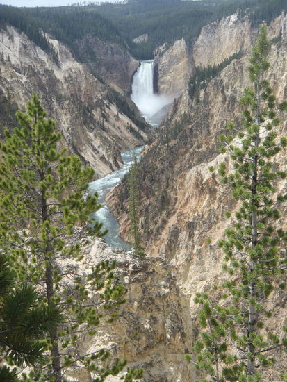 Schlucht des Yellowstone River mit Wasserfall