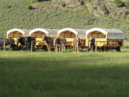 Wagenburg beim Abendessen in der Prärie