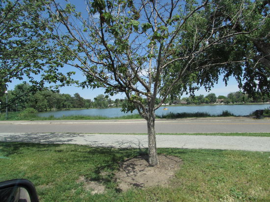 See im Washington Park