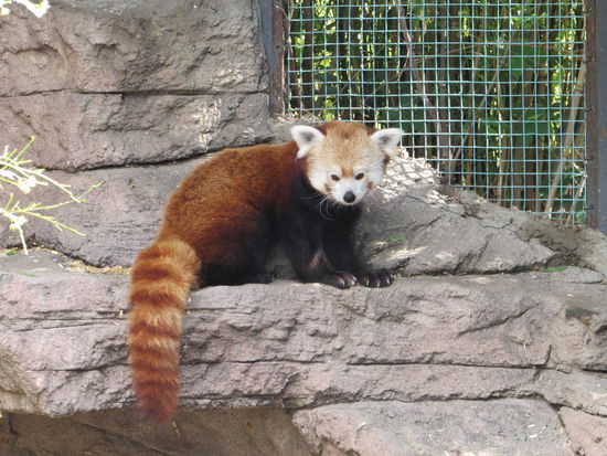 Den haben wir in unseren Koffer gepackt