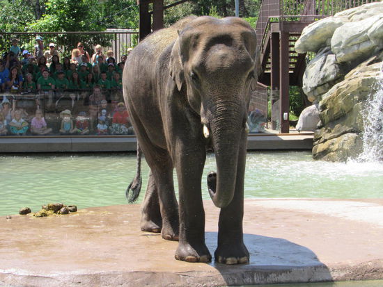 Sorry Leute, mir fehlt heute der Plan