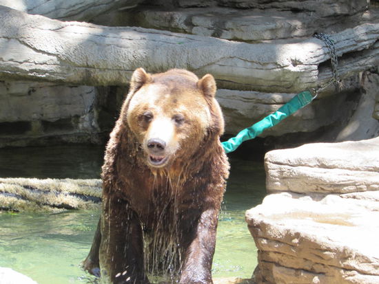 Habt ihr meinen Bruder nicht getroffen?