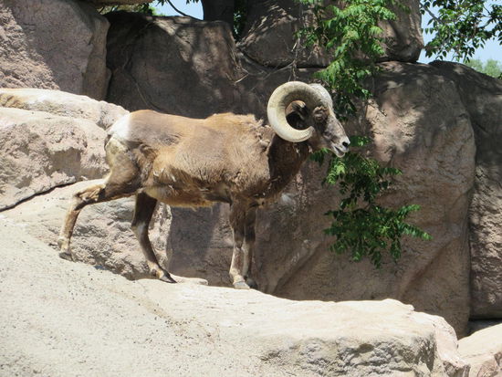 Nein, haben sie nicht! Und meinen Onkel mit seinen Frauen haben sie auch übersehen