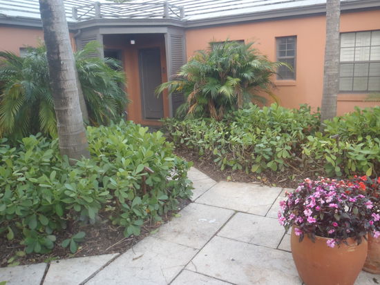 Durch den bunten Palmengarten zu unserem Zimmer