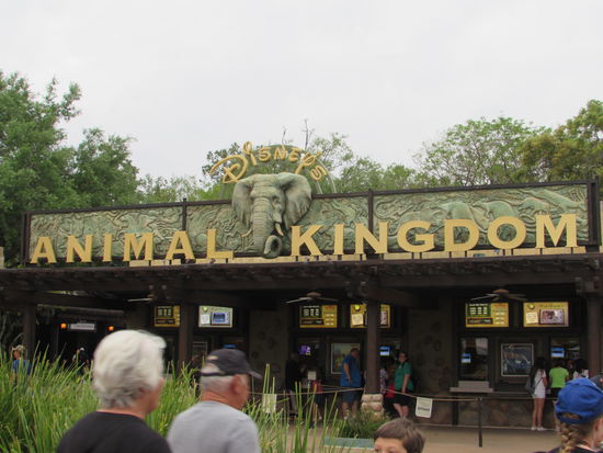 Ich hatte den doppelten Sicherheitscheck überstanden und durfte auch rein