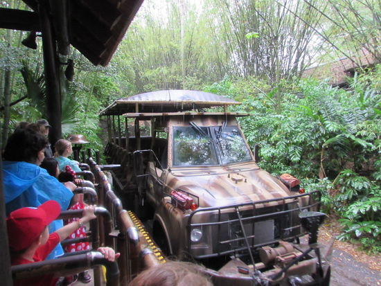 Safarifahrzeug - war gut, denn durch den Regen waren die Flußdurchfahrten gefährlicher