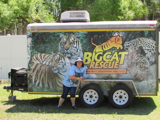 Mein Kätzchen in schmeichelndem Umfeld