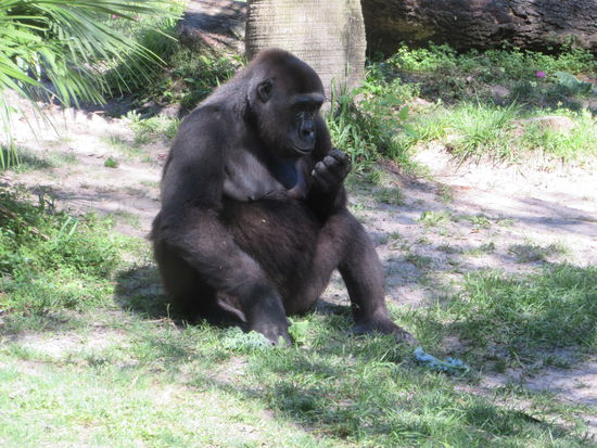 Zuerst schauten wir bei unseren Verwandten vorbei