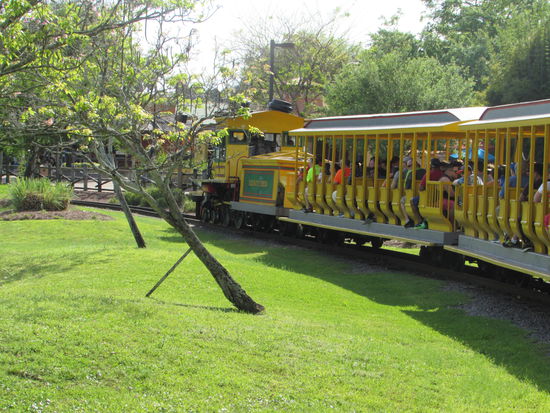 Abschlussrunde mit dem Dampfzug