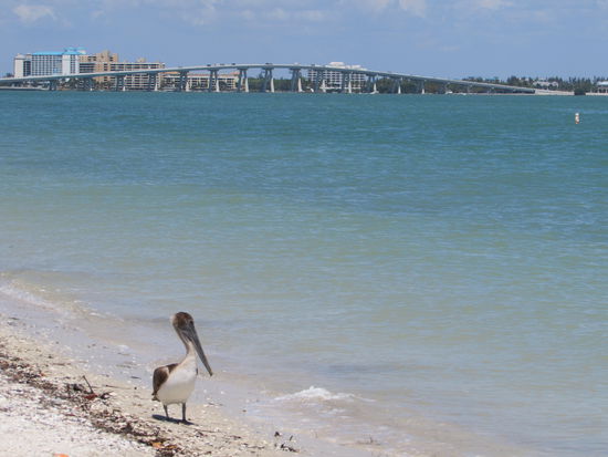 Ein freundlicher Herr zeigte uns die wenigen Sehenswürdigkeiten