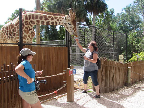 Der Salat ist aus, hör auf zu Maulen