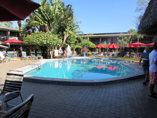 Es herrscht Ruhe am Pool, warum wohl?