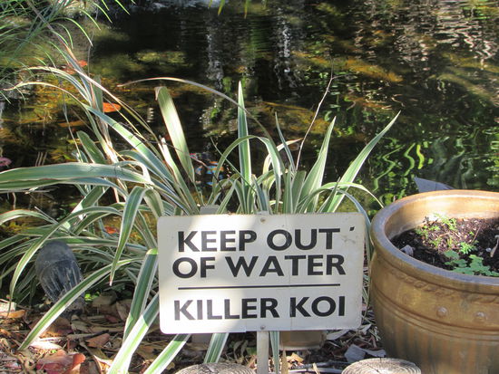 Kein Wunder, bei dieser Warnung