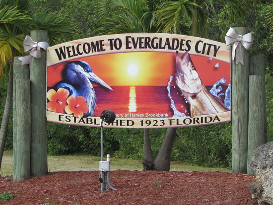 In den Sumpflandschaften der Everglades