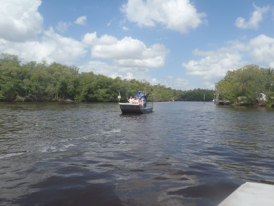 Nach Manatee-Sichtung und Delfinbesuch ging es los in die Mangrovenwälder