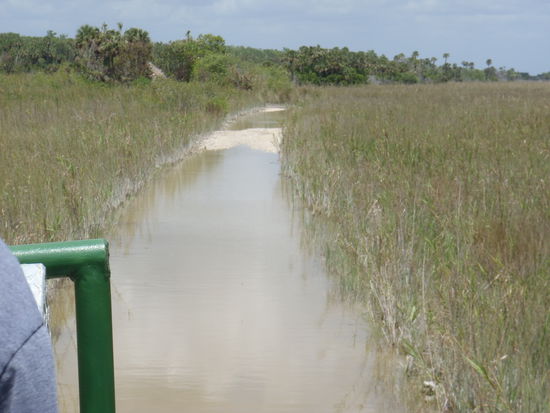 Durch den Schlamm in den Wald