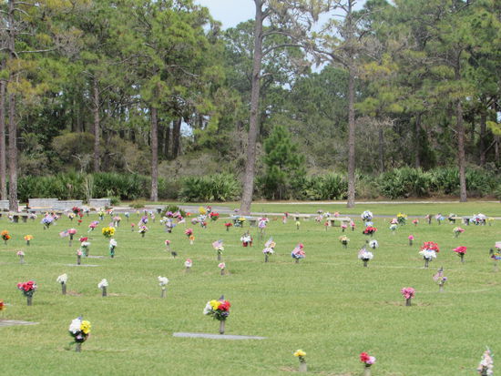 Gedenkfeld kurz vor Saint Augustine