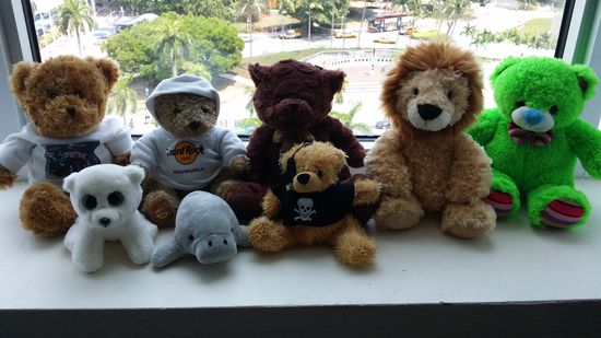 Unsere noch spärliche Ausbeute an USA-Flüchtlingen