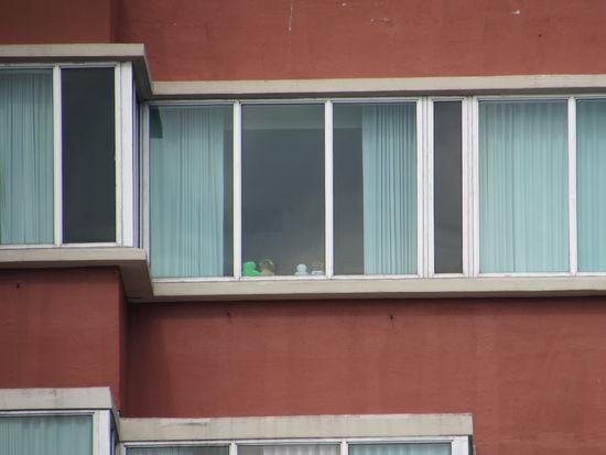 Von der Bushaltestelle konnte man unsere Bärensammlung sehen