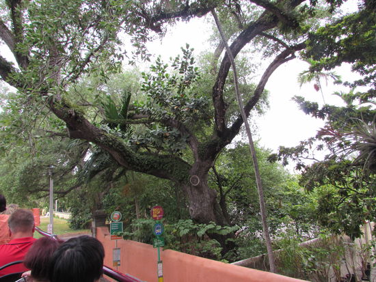 Durch Parkanlagen nach Coconut Grove