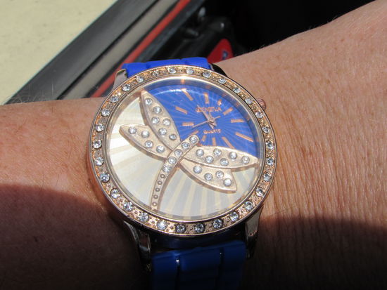 Nachdem wir durch die Wohnanlagen der Superreichen gefahren sind, bin ich mit Eva in ein Juweliergeschäft gegangen und habe ihr diese, mit Diamanten besetzte Uhr, gekauft.