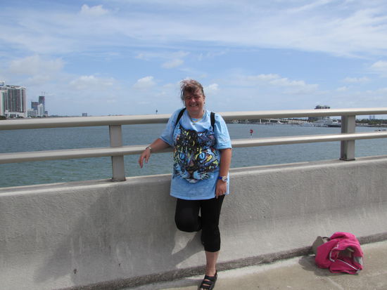 Auf der Hafenbrücke