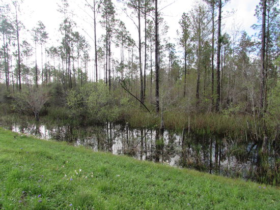 Meile für Meile durch Au und Sumpf