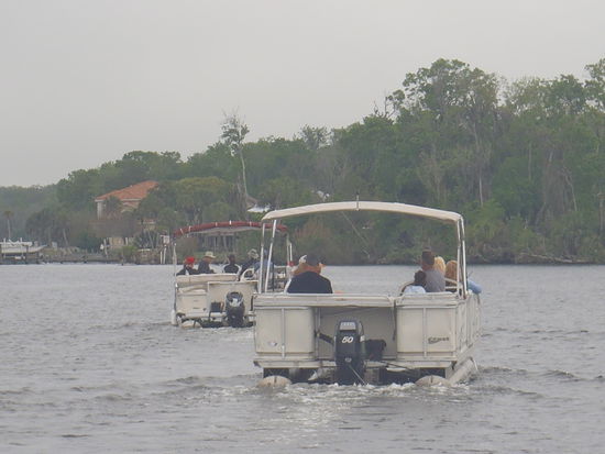 Auf der Suche nach Manatee's